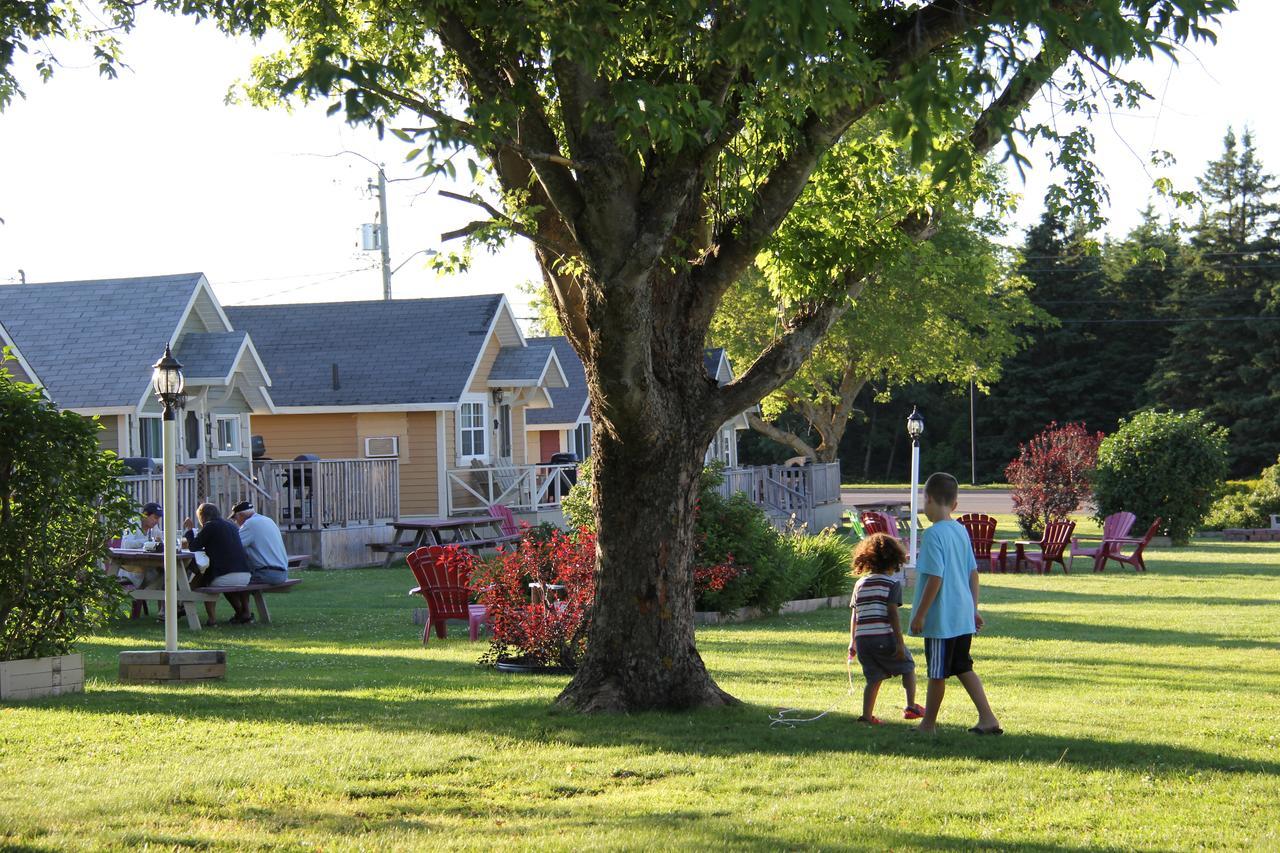 Avonlea Cottages キャベンディッシュ エクステリア 写真